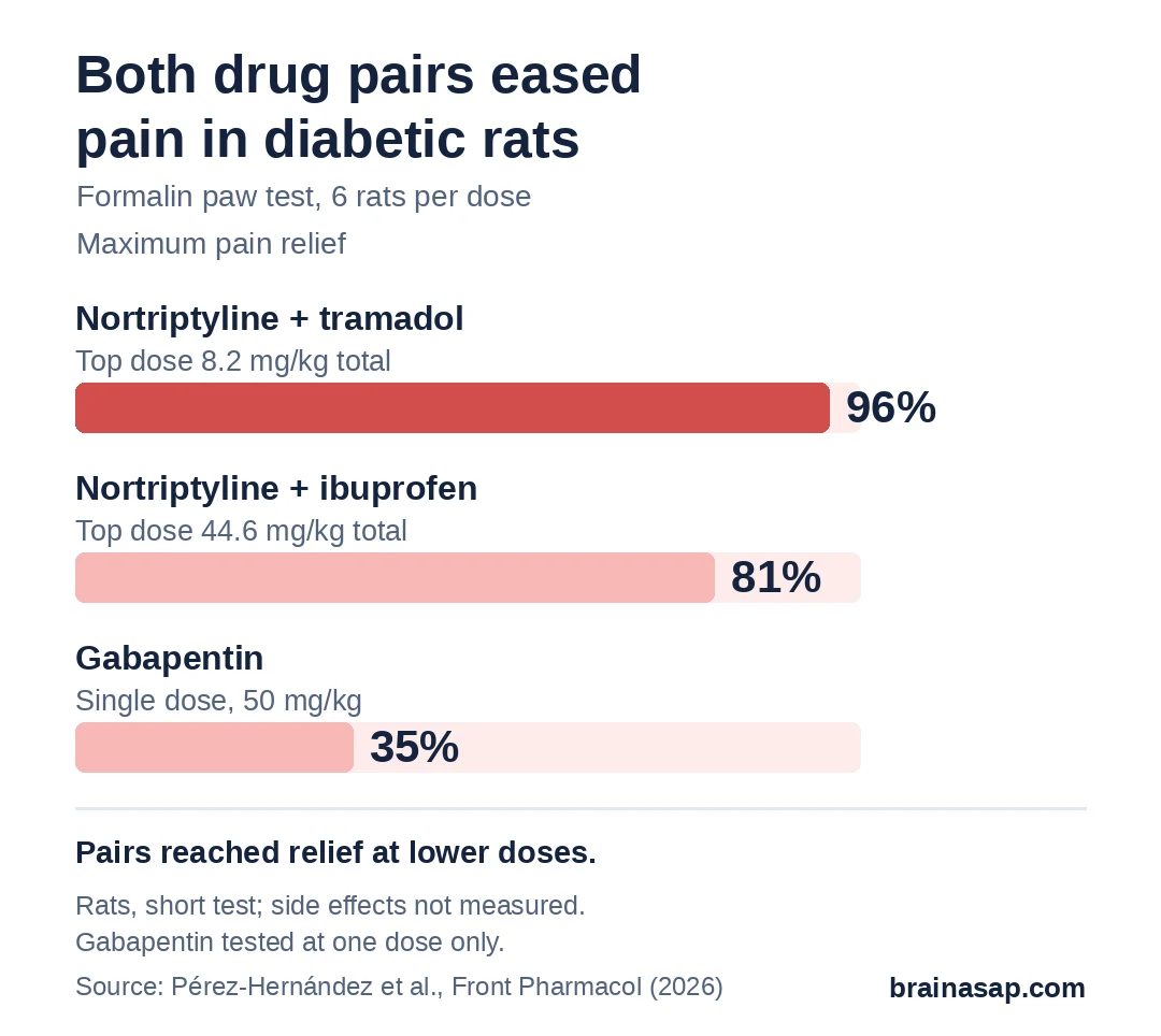 Bar chart of maximum pain relief in diabetic rats: nortriptyline plus tramadol 96%, nortriptyline plus ibuprofen 81%, gabapentin at a single 50 mg/kg dose 35%.