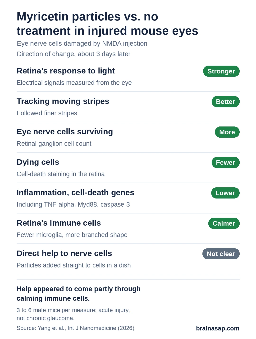 Summary chart comparing NMDA-injured mice treated with myricetin nanoparticles with untreated injured mice: retina's response to light better, tracking of moving stripes better, ganglion cell count higher, dying cells fewer, inflammation and cell-death genes lower, microglia less activated; direct protection of nerve cells in a dish not clear.