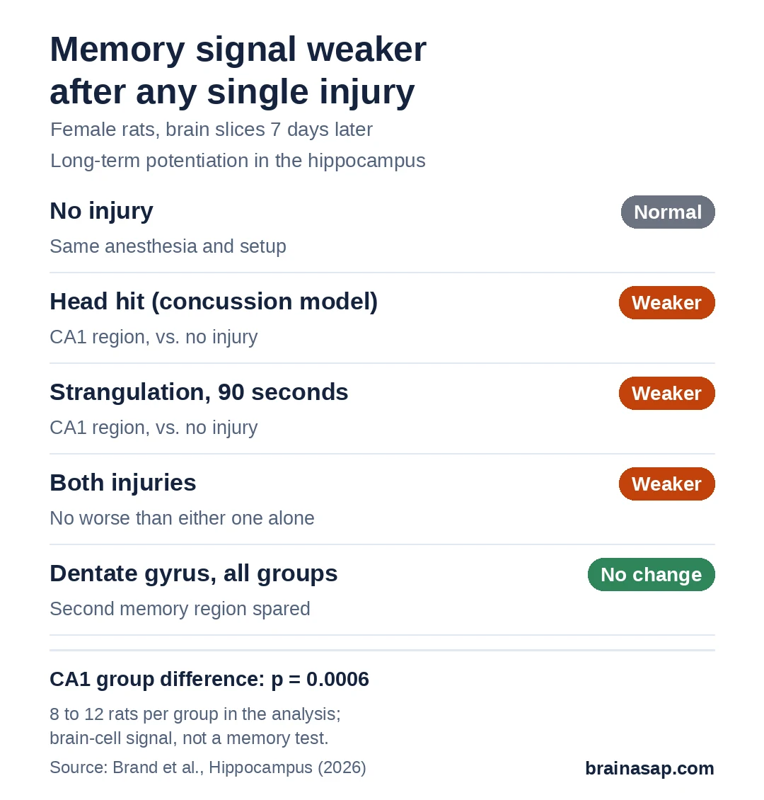 Summary chart of a memory-related brain signal in female rats a week after injury. In the CA1 region, the signal was normal in uninjured rats and weaker after a head hit, after strangulation, and after both injuries, with both no worse than one. In the dentate gyrus region, there was no change in any group.