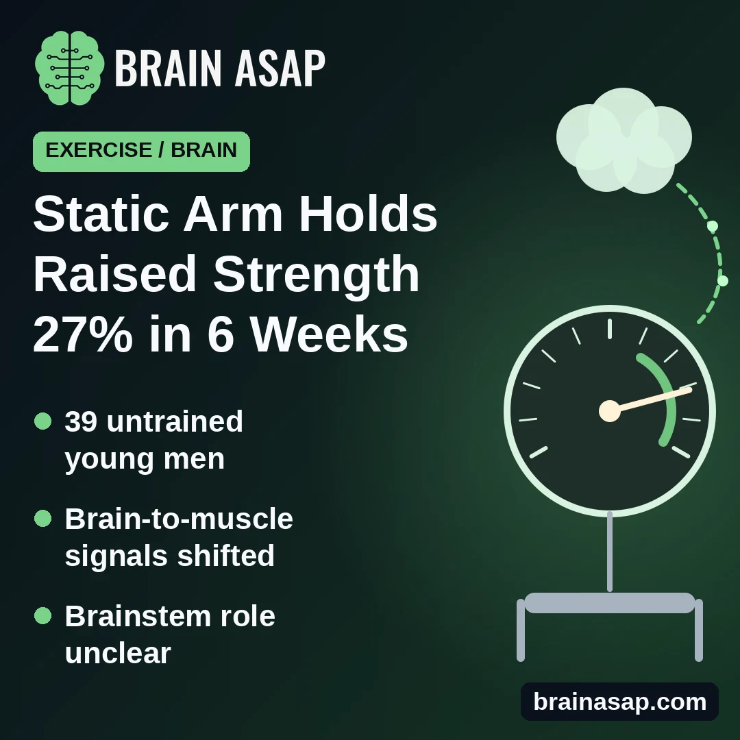 Six Weeks of Static Arm Holds Raised Strength 27% and Shifted Brain-to-Muscle Signals