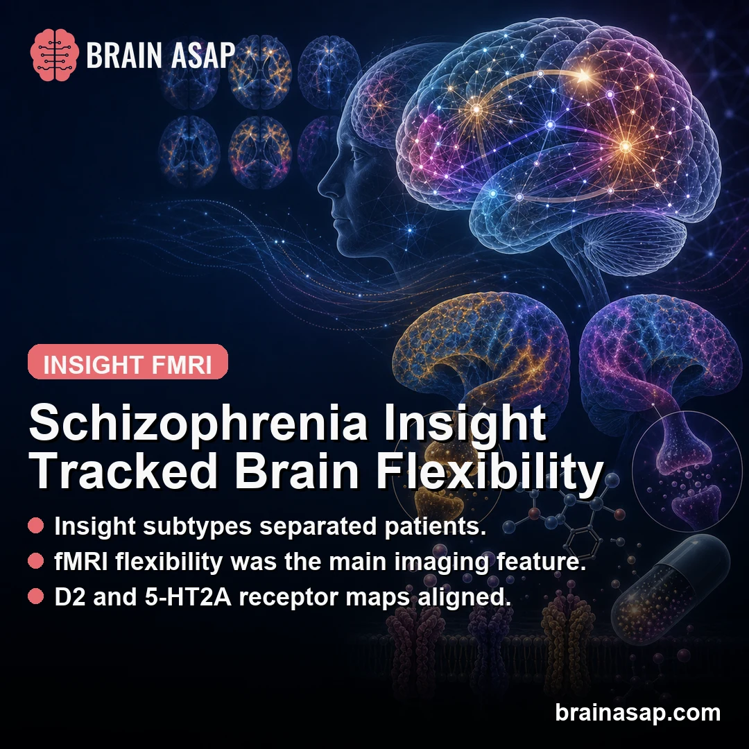 Schizophrenia Insight Linked to fMRI Flexibility and Receptor Maps