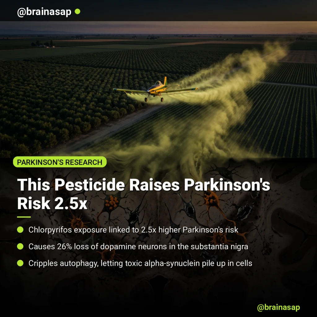 Chlorpyrifos Pesticide Linked to 2.5x Risk of Parkinson’s Disease