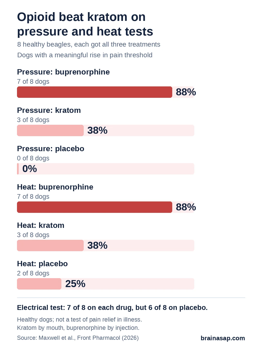 Bar chart of dogs with a meaningful rise in pain threshold. Pressure test: buprenorphine 7 of 8 (88%), kratom 3 of 8 (38%), placebo 0 of 8. Heat test: buprenorphine 7 of 8 (88%), kratom 3 of 8 (38%), placebo 2 of 8 (25%).