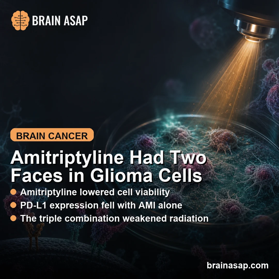 Amitriptyline Reduced C6 Glioma Cell Growth but Weakened Radiation Effects With Temozolomide
