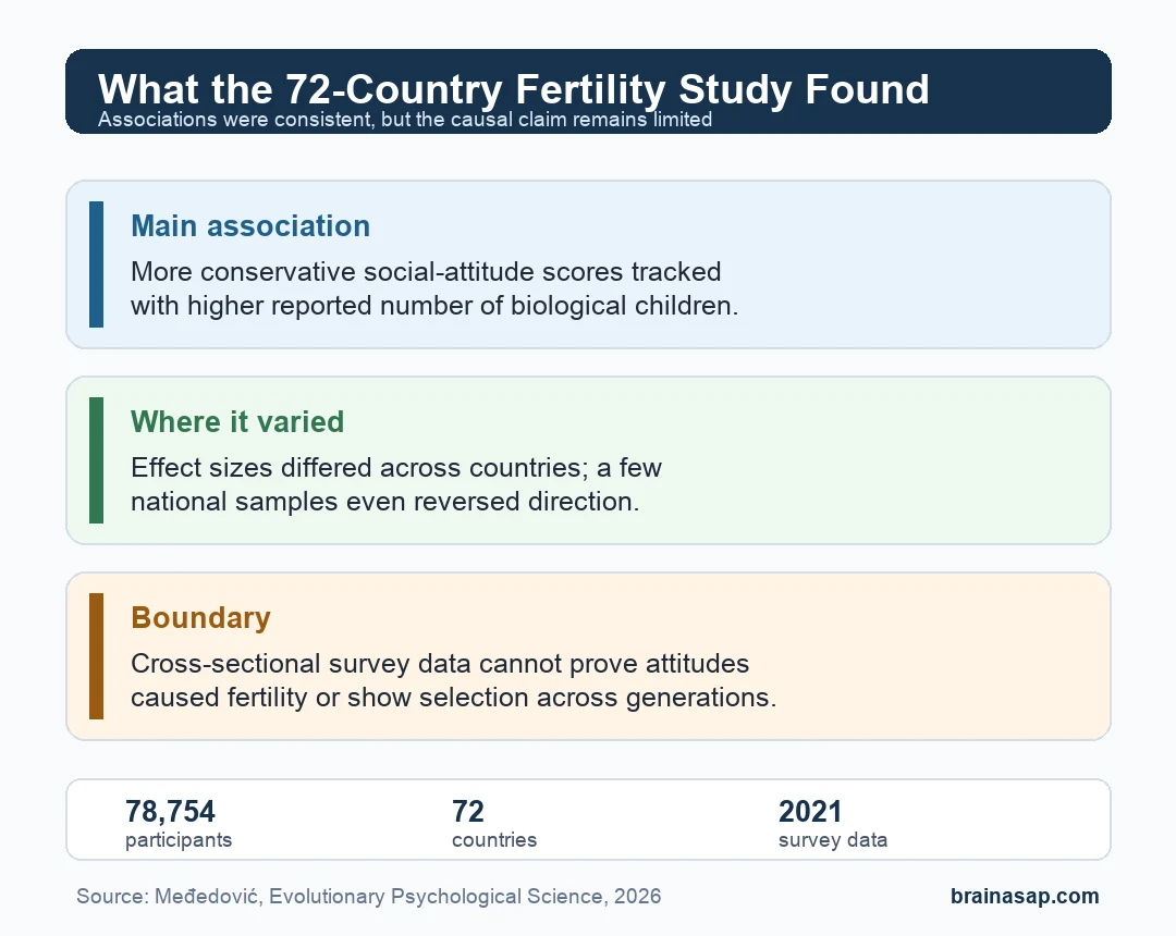 Summary matrix showing conservative-attitude fertility links, country variation, and study limits