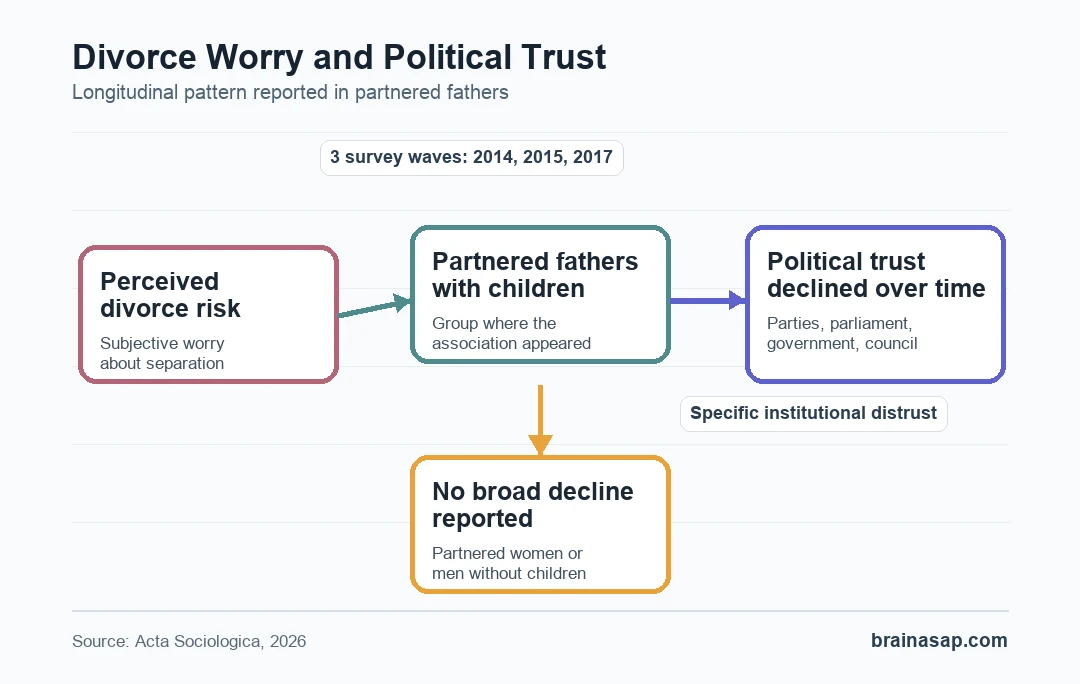 Brain ASAP pathway graphic showing divorce risk linked to political distrust among fathers