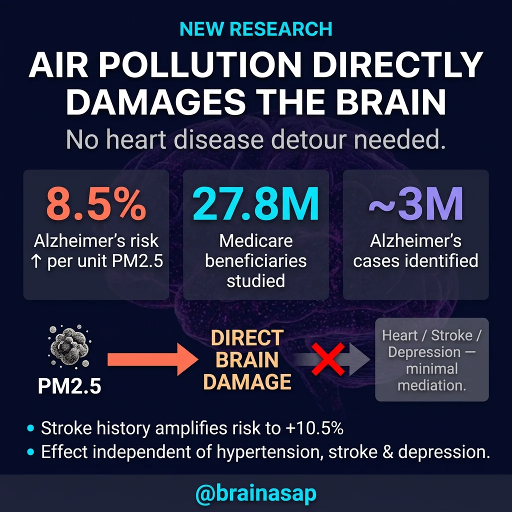 PM2.5 Air Pollution Directly Increases Alzheimer’s Risk