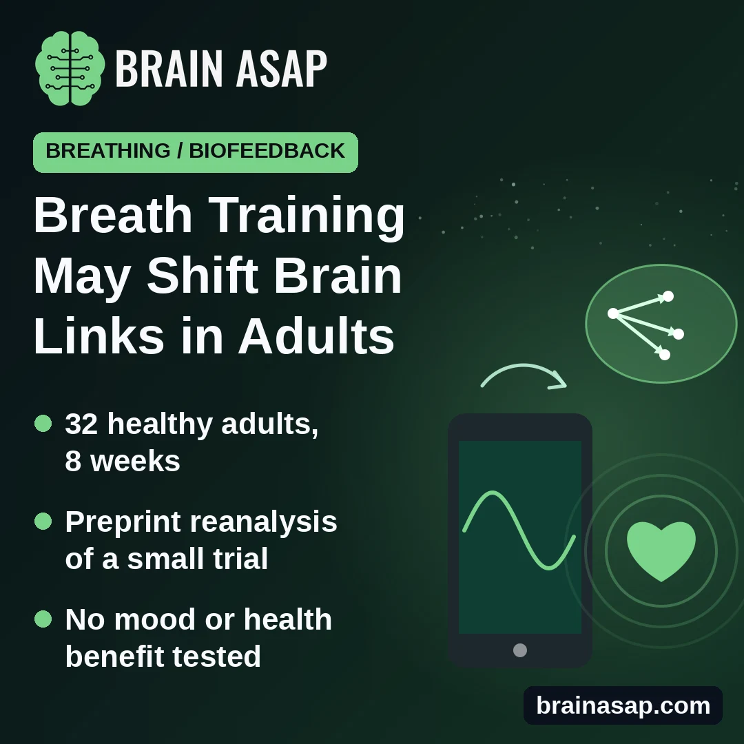 Slow-Breathing Biofeedback May Shift Brain Connections in Healthy Adults, Small Preprint Finds