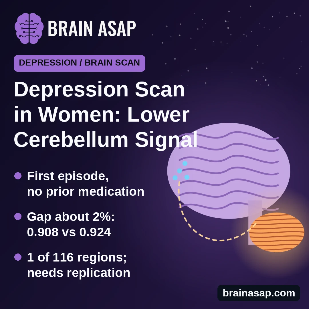 Depression in Women Linked to Lower Synapse Marker in Cerebellum, in 16-Woman Brain Scan Pilot
