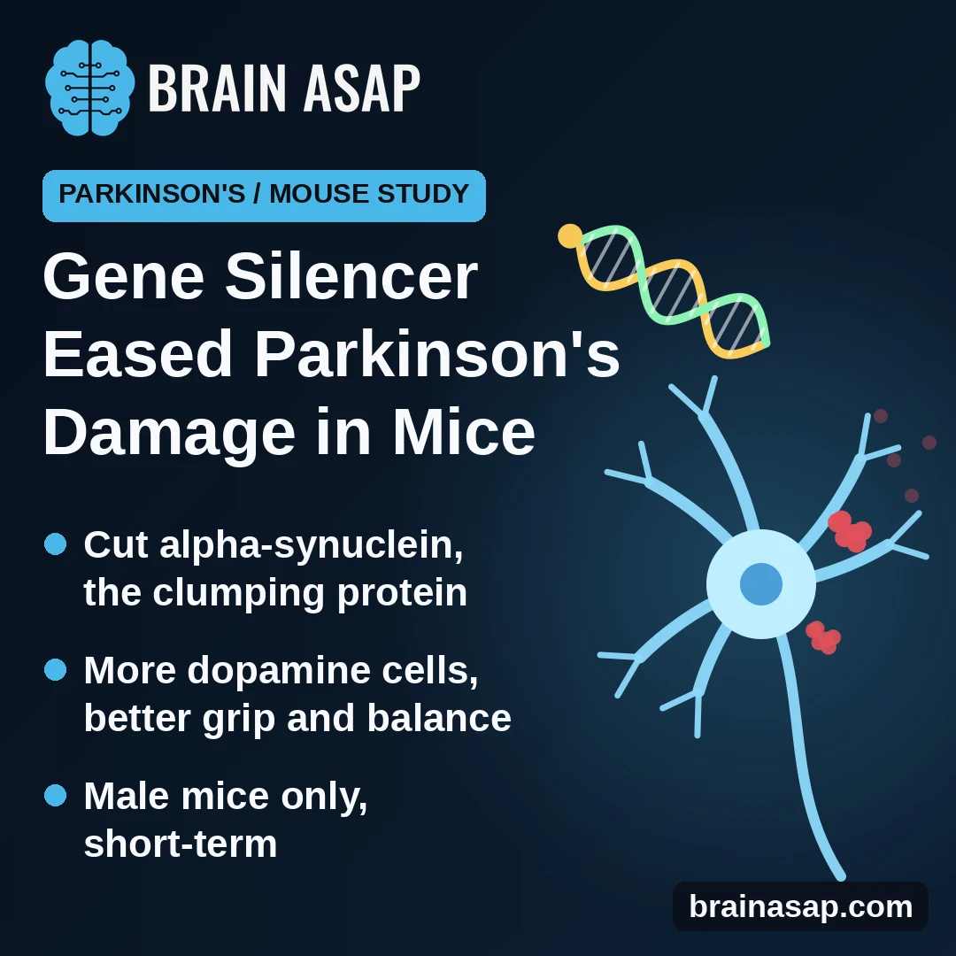 Gene-Silencing Molecule Lowered Alpha-Synuclein and Protected Dopamine Cells in Parkinson’s Mice