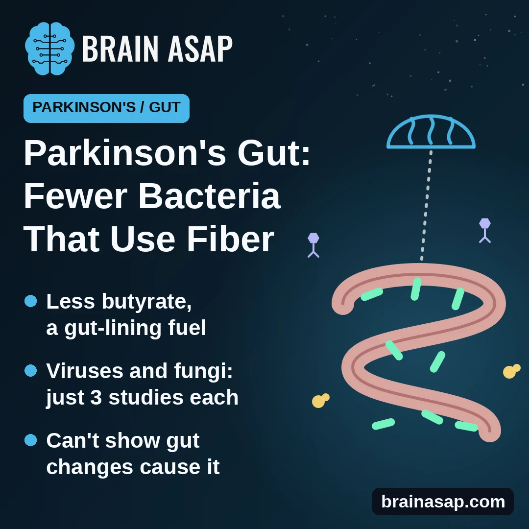 Parkinson's and the Gut: Review of 61 Studies Finds Bacteria Evidence Strongest, Viruses and Fungi Still Unclear