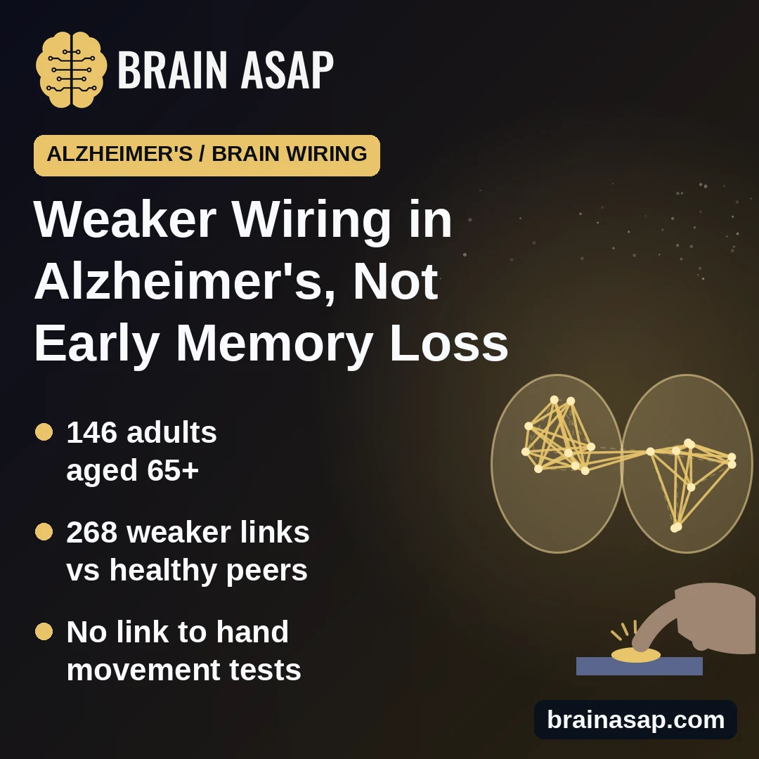 Brain Wiring Weaker in Alzheimer's Dementia but Not Early Memory Loss, and Not Linked to Hand Skills