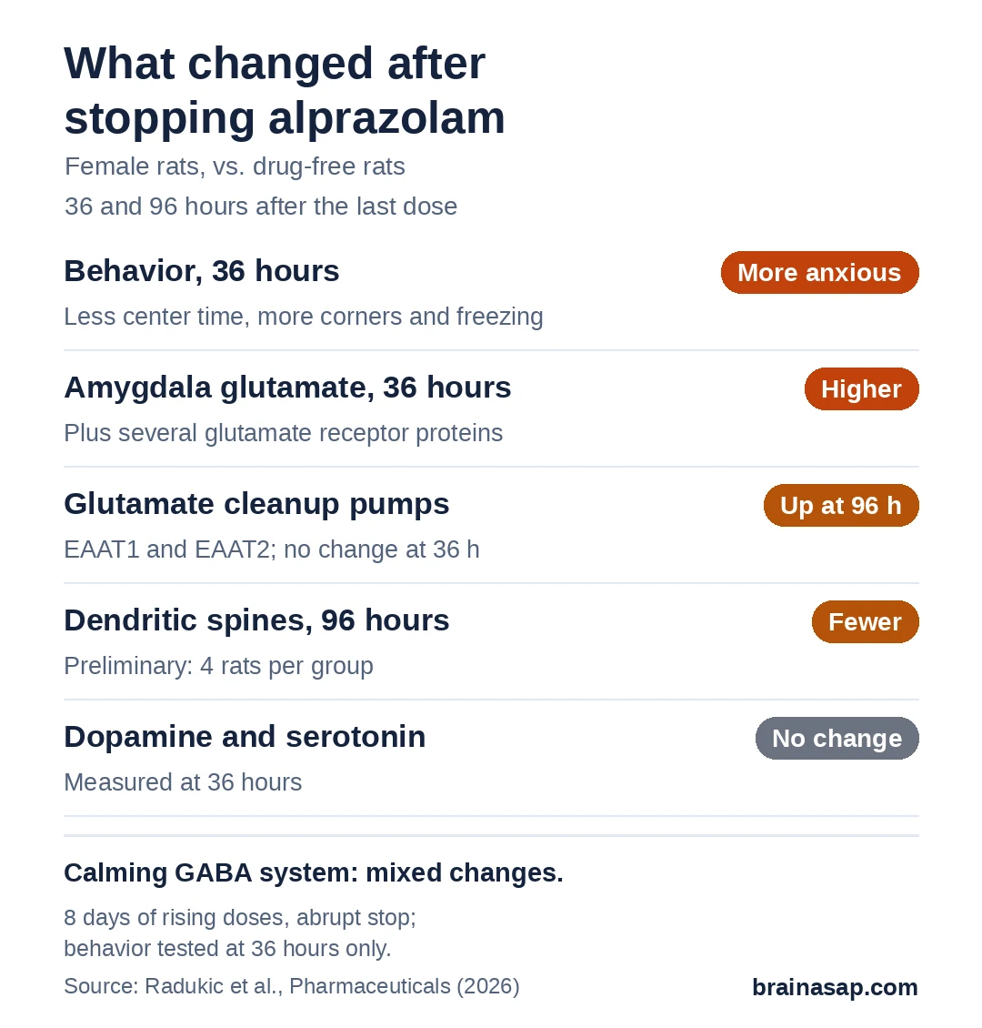 Summary chart of changes in female rats after stopping alprazolam. At 36 hours: less center exploration and more freezing, more glutamate in the amygdala, and several glutamate receptor proteins up. At 96 hours: glutamate cleanup transporters up and fewer total dendritic spines. Dopamine and serotonin levels were unchanged.