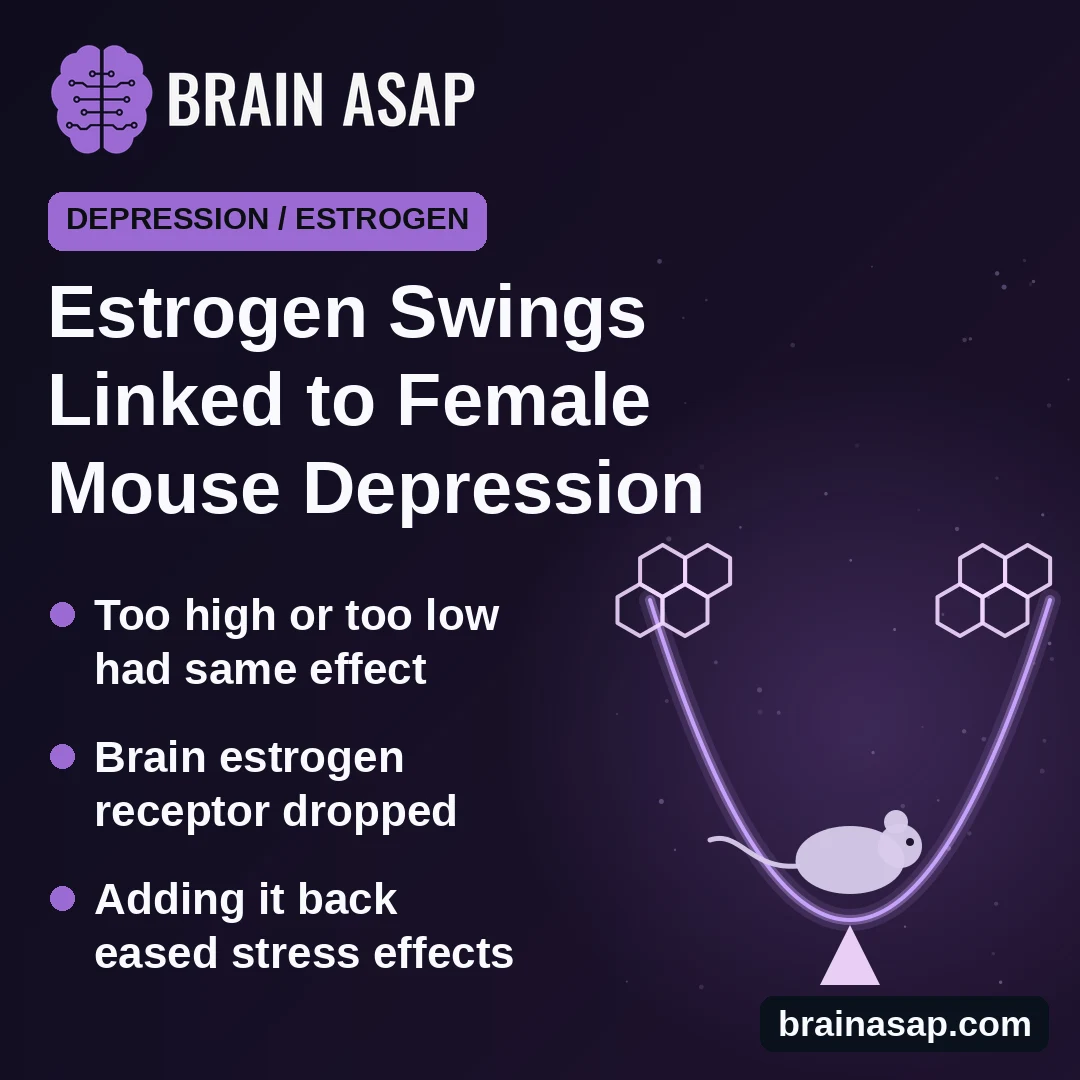 Too Little or Too Much Estrogen Linked to Depression-Like Behavior in Female Mice