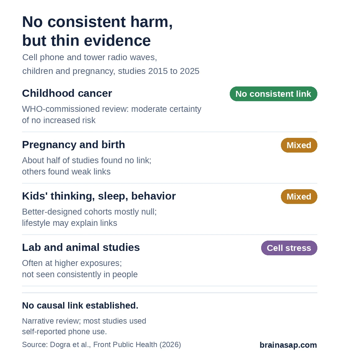 Summary chart of the review's conclusions. Childhood cancer: no consistent link. Pregnancy and birth outcomes: mixed, about half of studies found no link and the rest weak links. Children's thinking, sleep and behavior: mixed, with better-designed studies mostly null. Lab and animal studies: signs of cell stress, often at higher exposures.