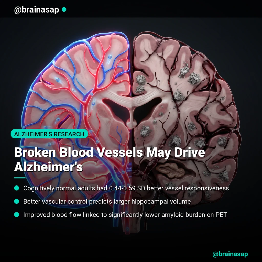 Broken Blood Vessels May Drive Alzheimer’s Decline