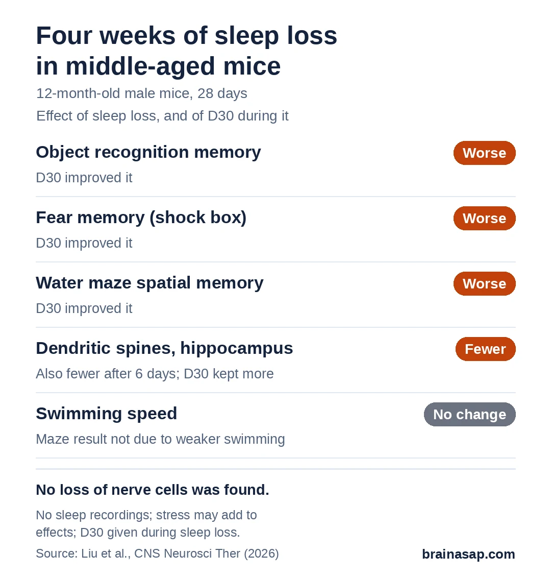 Summary chart of how 28 days of sleep loss affected 12-month-old male mice and whether D30 helped: object recognition memory worse, D30 improved it; fear memory worse, D30 improved it; water maze spatial memory worse, D30 improved it; dendritic spines fewer, D30 preserved them; swimming speed unchanged.