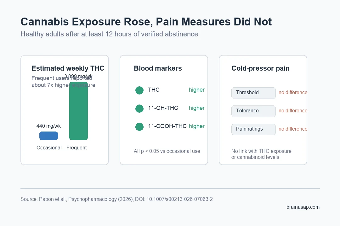 Comparison chart showing higher THC exposure and THC biomarkers but no pain outcome difference during brief cannabis abstinence