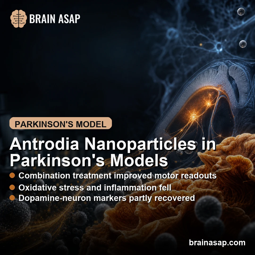 Antrodia Silver Nanoparticles Reduced Parkinson’s Model Injury