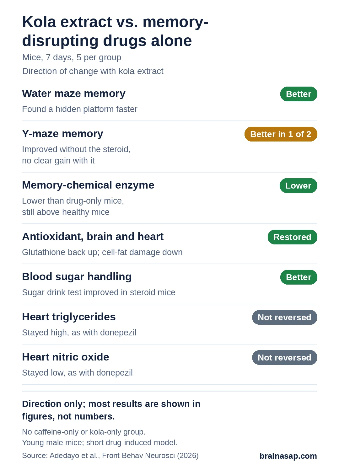 Summary chart of results for mice given kola nut extract compared with mice given memory-disrupting drugs alone: water maze memory better, Y-maze better in 1 of 2 kola groups, brain enzyme that breaks down a memory chemical lower, brain and heart antioxidant restored, blood sugar handling better, heart triglycerides and heart nitric oxide not reversed.