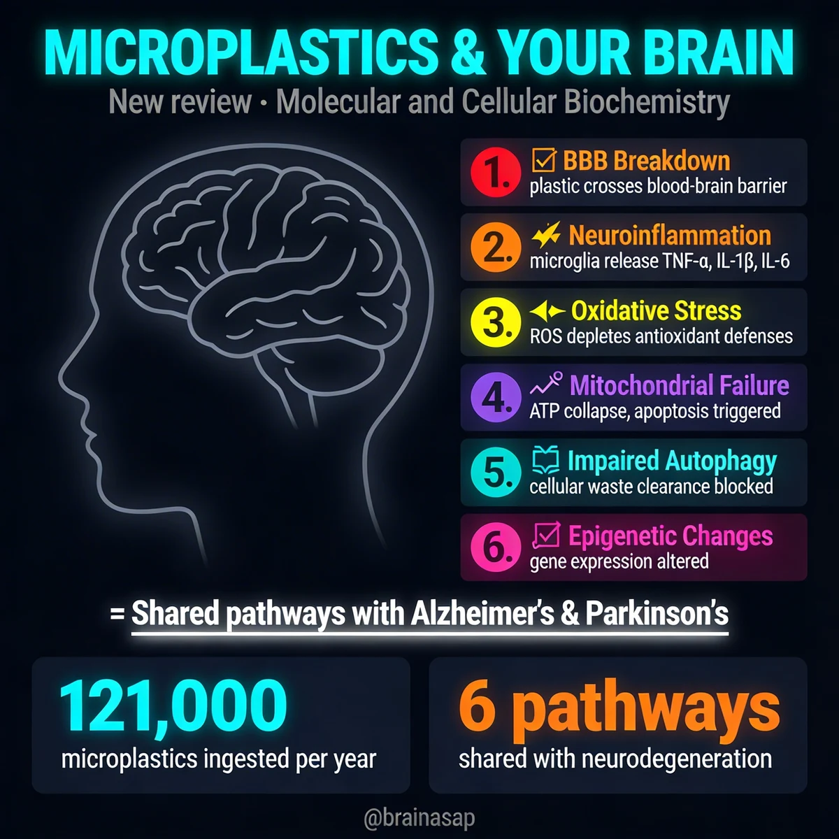 Microplastics and Brain Damage: How Plastic May Trigger Alzheimer’s and Parkinson’s