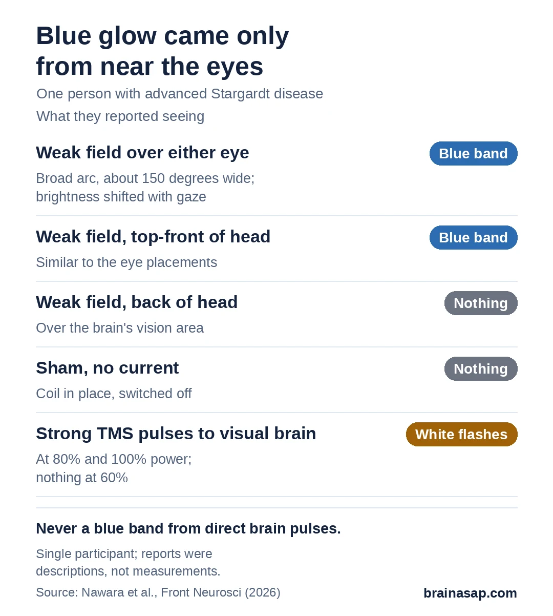 Summary chart of what one person with Stargardt disease saw. Weak magnetic field over either eye: blue band. Over the top-front of the head: blue band. Over the back of the head: nothing. Sham with no current: nothing. Strong magnetic pulses to the visual brain at 80 to 100 percent power: white flashes. At 60 percent power: nothing.