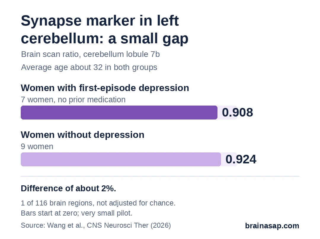 Bar chart of synapse marker ratio in the left cerebellum (lobule 7b): women with first-episode depression 0.908, women without depression 0.924.