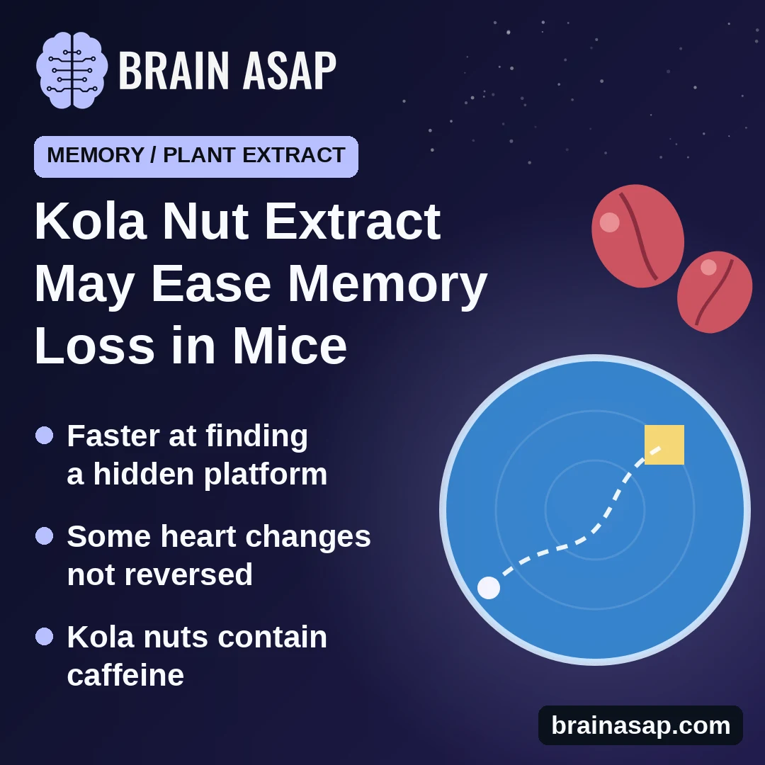 Kola Nut Extract May Ease Drug-Induced Memory Loss in Mice, Small Study Finds