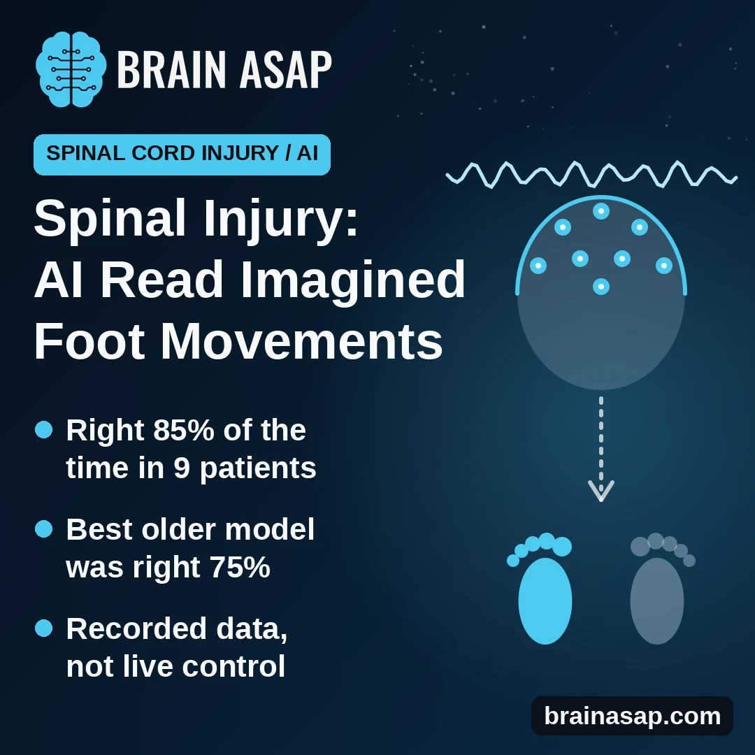 AI Read Imagined Foot Movements From Brain Waves in Spinal Cord Injury, in an Early Offline Test