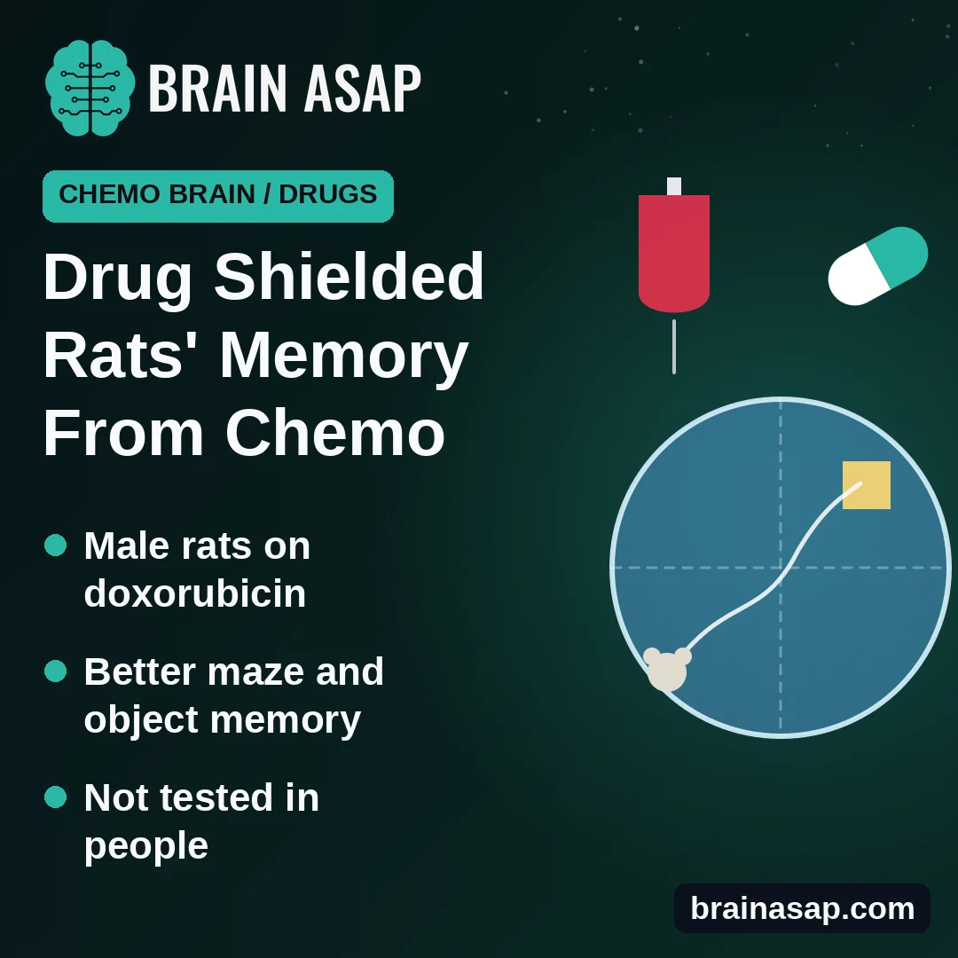 Antipsychotic Lurasidone Protected Memory in Rats Given Chemo