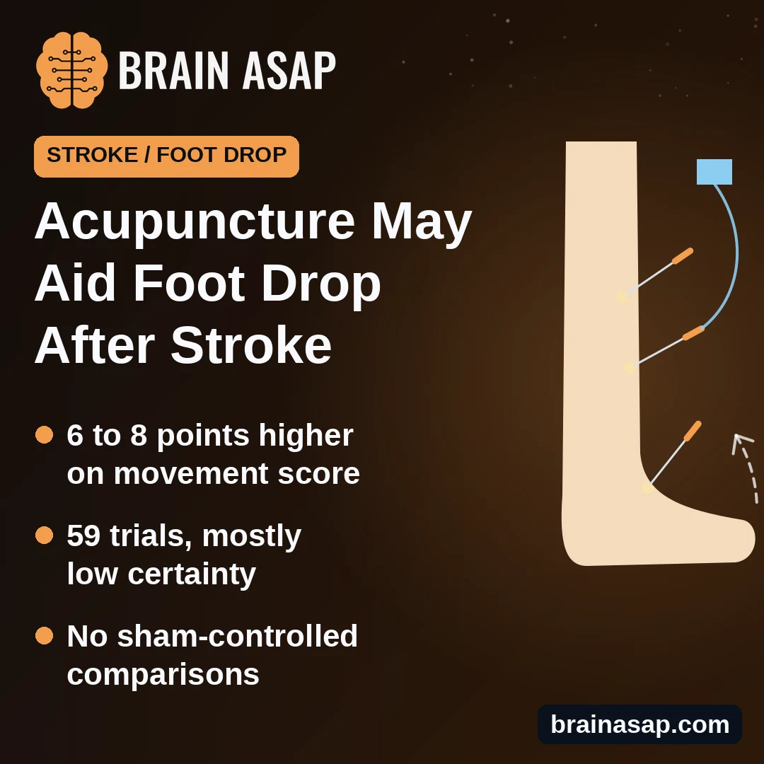 Acupuncture Added to Rehab May Improve Movement in Stroke Foot Drop, but the Evidence Is Uneven