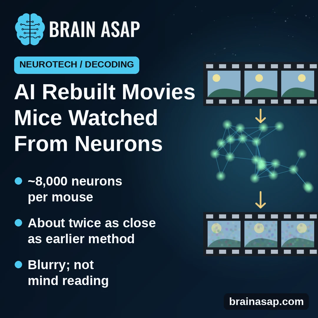 AI Rebuilt Movies Mice Watched From Their Brain Activity