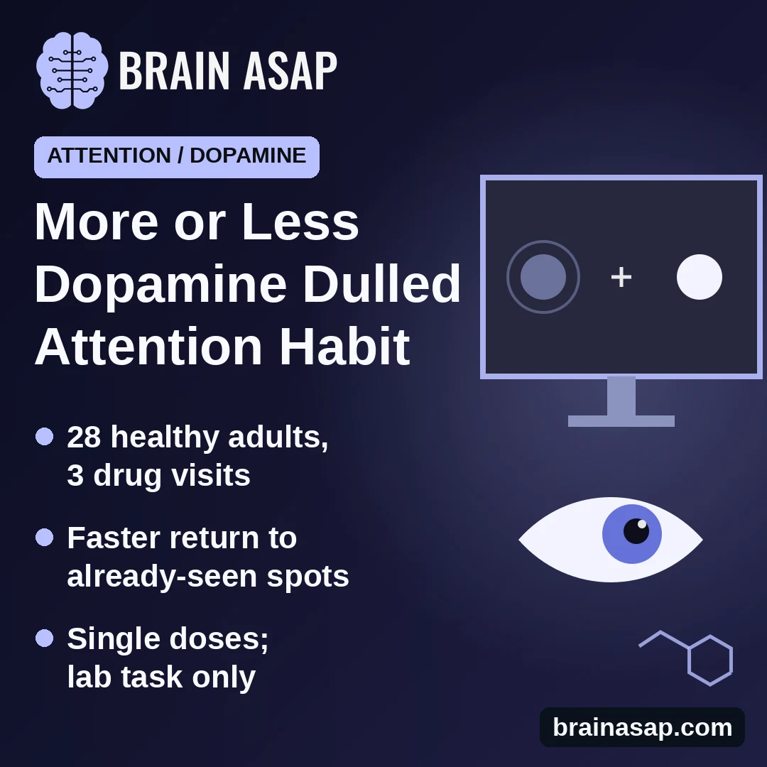 Raising or Lowering Dopamine Both Weakened an Attention Habit in Healthy Adults