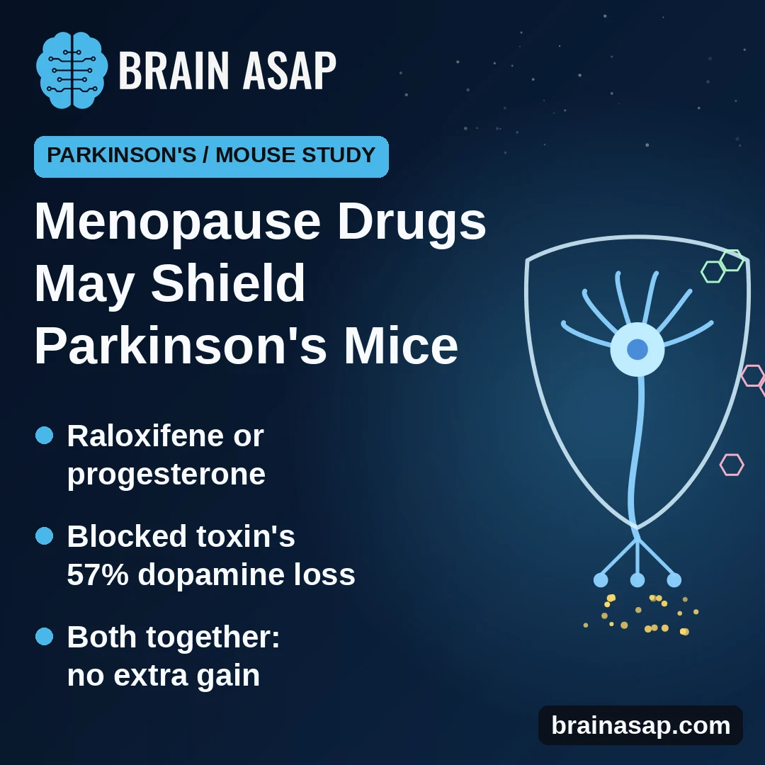 Raloxifene and Progesterone May Protect Dopamine in a Female Mouse Model of Parkinson’s