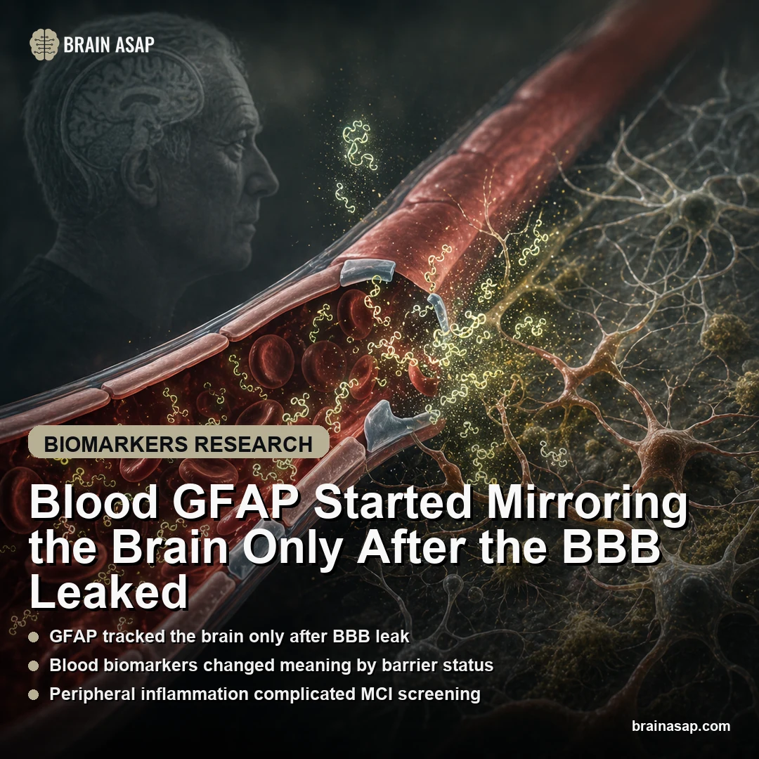 Blood GFAP Tracked Brain GFAP After Blood-Brain Barrier Leak