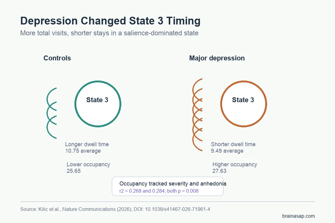 Diagram showing major depressive disorder linked to more frequent but shorter visits to a salience-dominated brain state