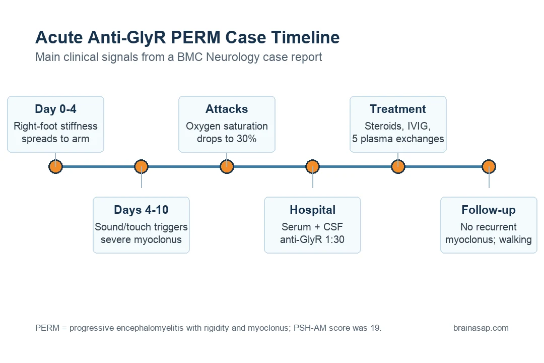 Simple timeline showing acute anti-GlyR PERM progressing from limb stiffness to trigger-induced myoclonus, respiratory failure, plasma exchange, and independent walking at follow-up.