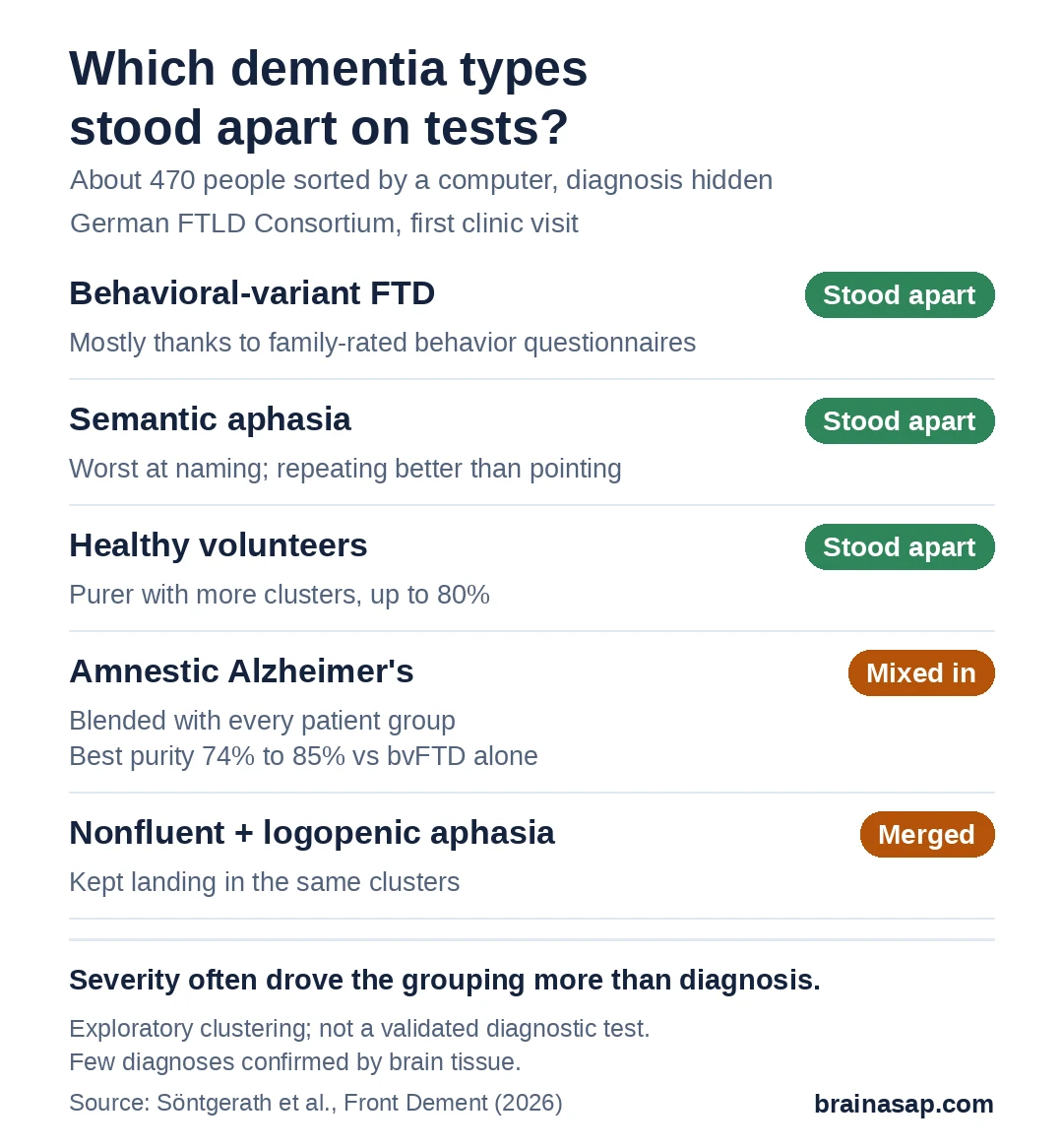 Summary chart of how diagnoses grouped when a computer sorted people by thinking-test and behavior scores, without diagnosis labels: behavioral-variant FTD and semantic aphasia separated well; healthy volunteers separated as more groups were allowed, up to 80% purity; amnestic Alzheimer's mixed with all patient groups; nonfluent and logopenic aphasia clustered together.