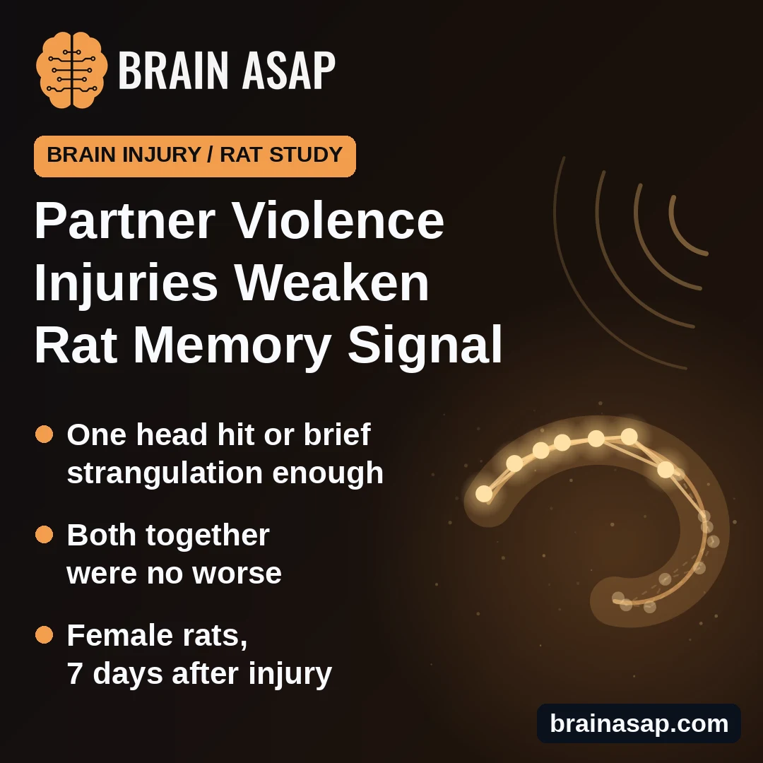 A Single Head Hit or Strangulation Weakened Memory Signals in Rats Modeling Partner Violence