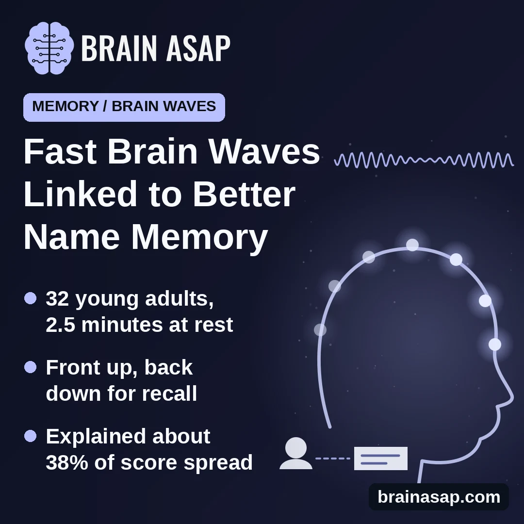 Fast Brain Waves at Rest Linked to Better Memory for Names and Faces in Young Adults