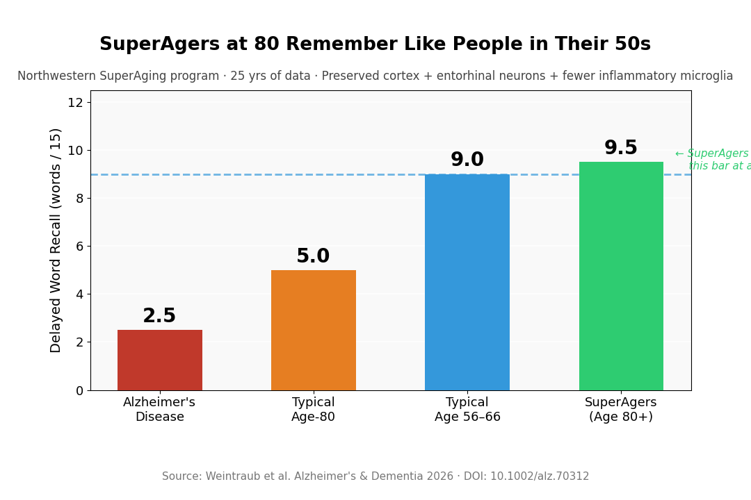 SuperAger brain profile vs typical aging and Alzheimer's