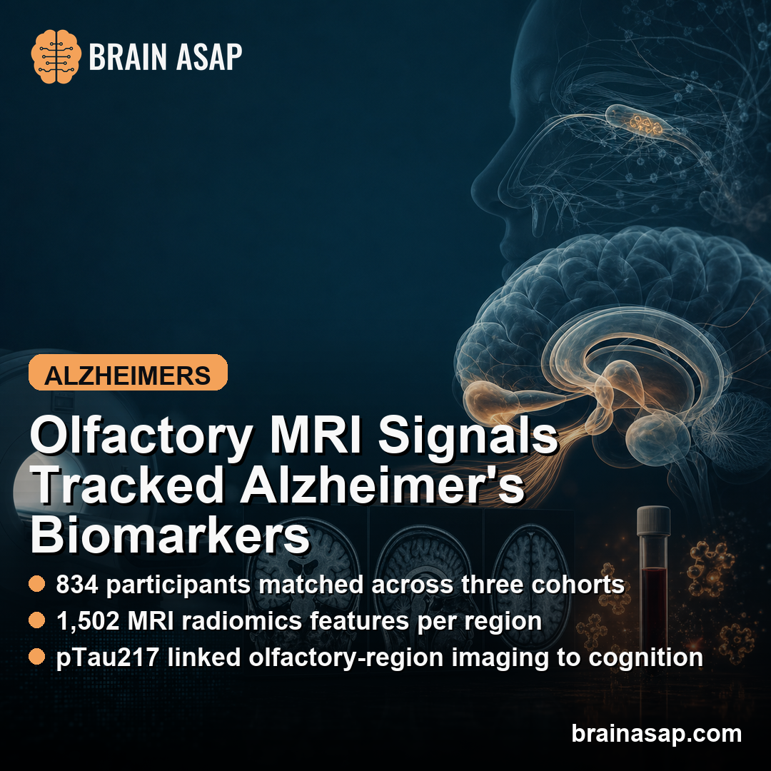Olfactory MRI Radiomics Linked pTau217 to Alzheimer's Cognition