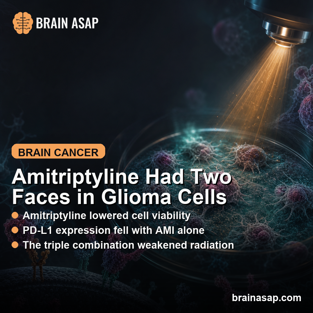 Amitriptyline Reduced C6 Glioma Cell Growth but Weakened Radiation Effects With Temozolomide