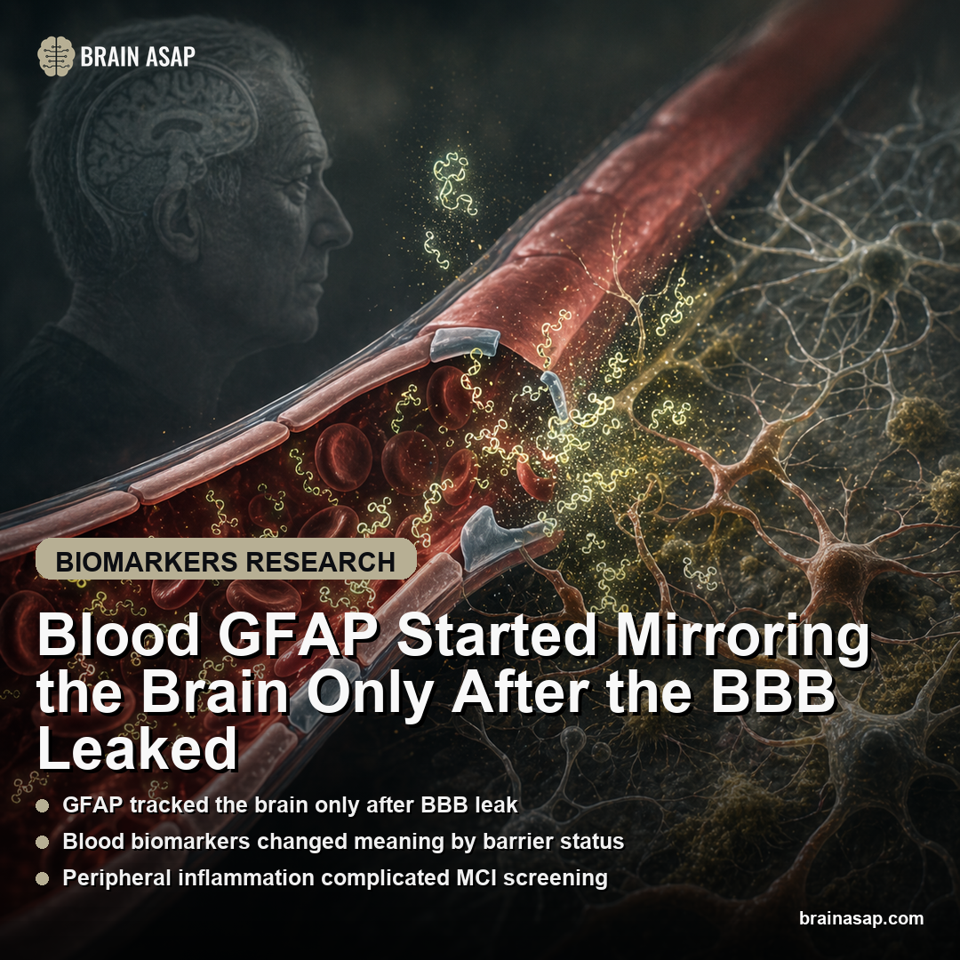 Blood GFAP Started Mirroring the Brain Only After the BBB Leaked
