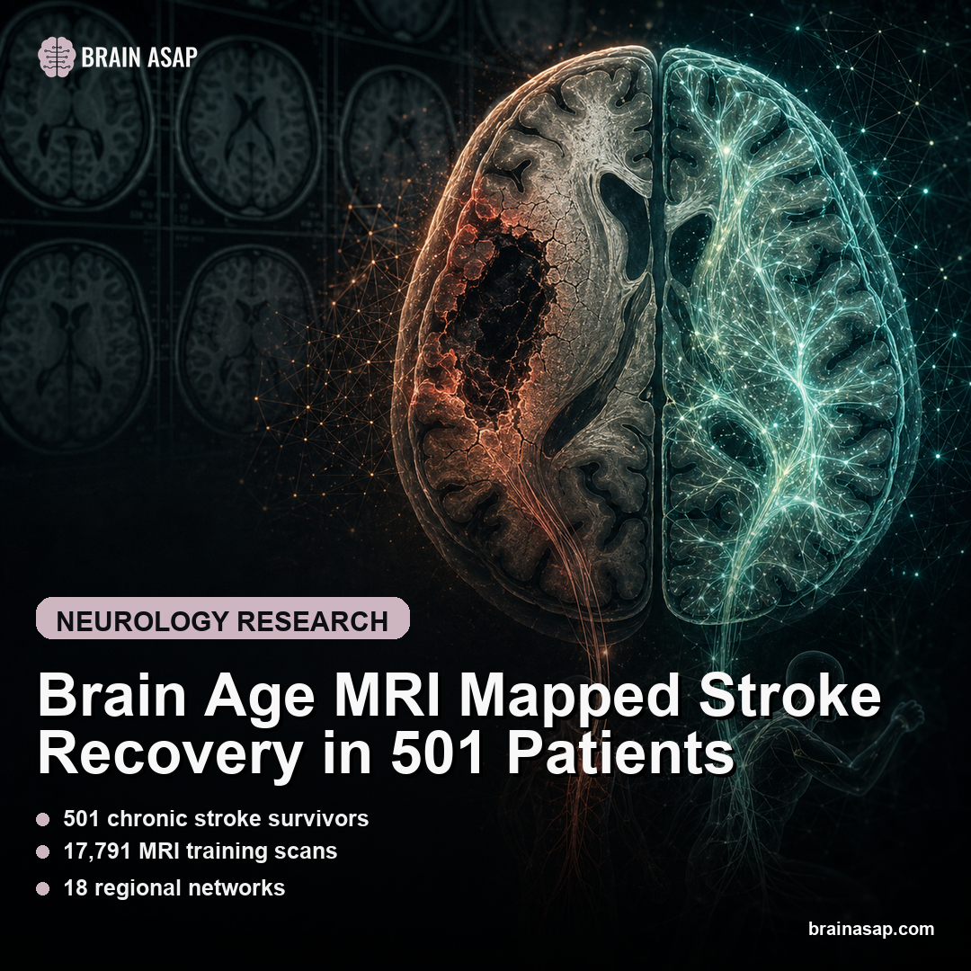 Brain Age MRI Mapped Stroke Recovery in 501 Patients