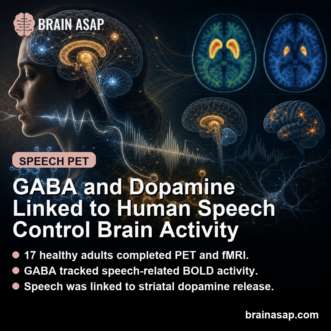 GABA and Dopamine Interacted During Human Speech Control