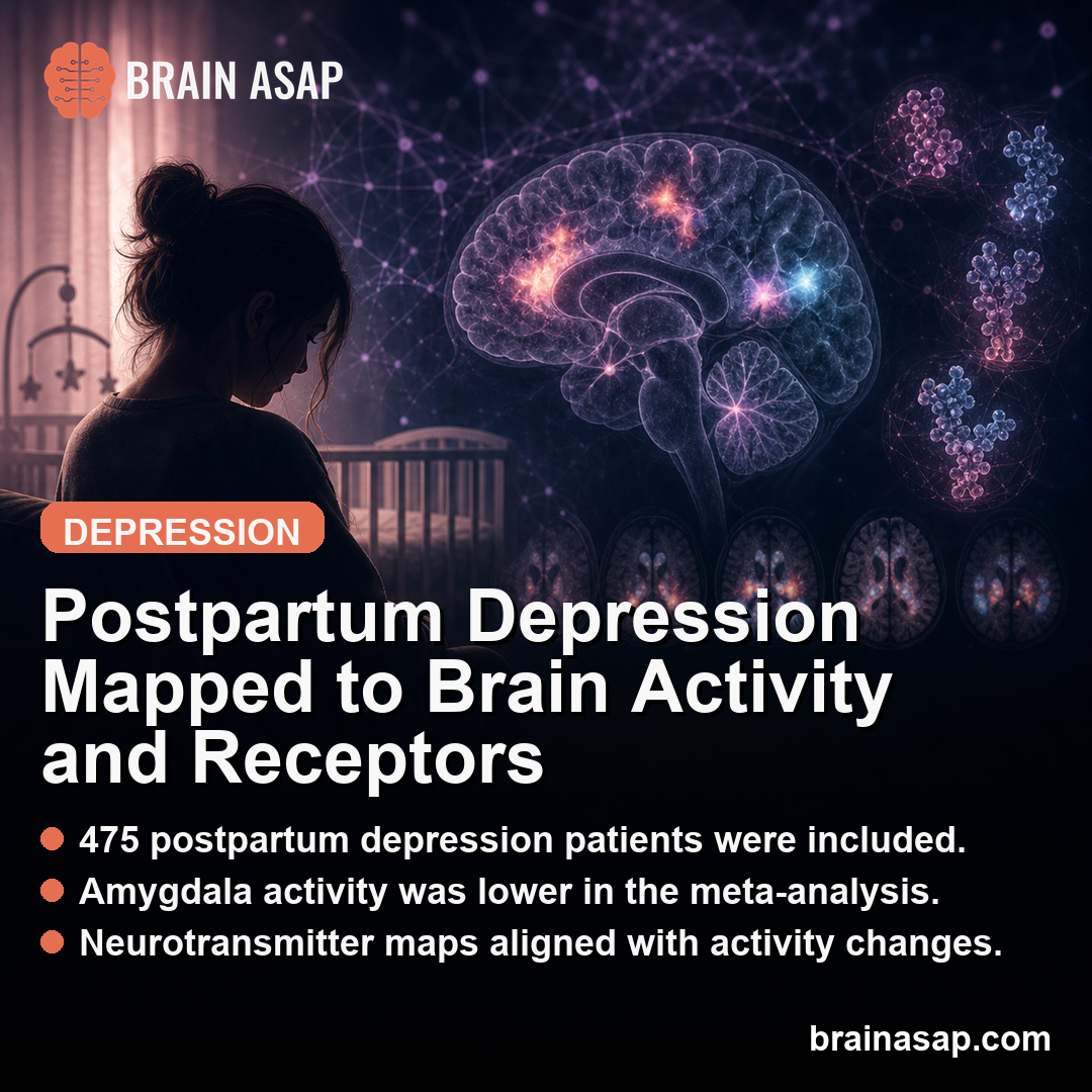 Postpartum Depression Meta-Analysis Linked Brain Activity to Neurotransmitter Maps