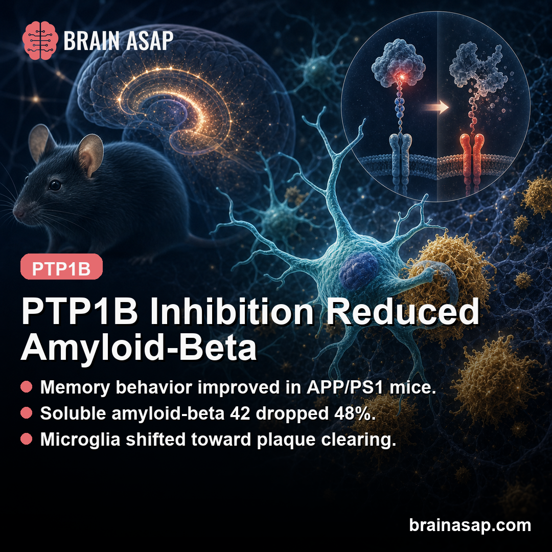 PTP1B Inhibition Reduced Amyloid-Beta in Alzheimer's Mice
