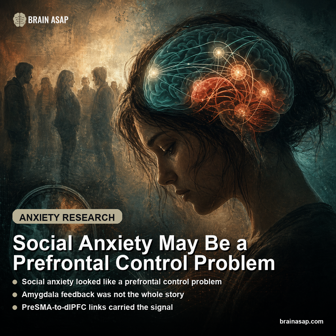 Social Anxiety May Be a Prefrontal Control Problem