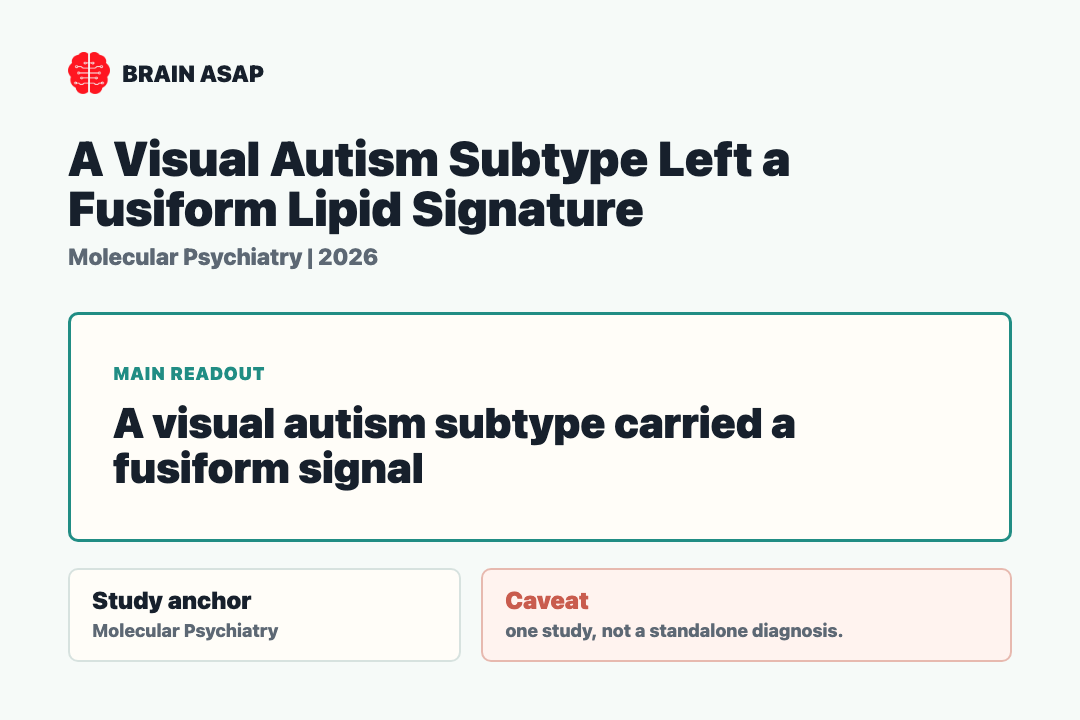 Brain ASAP visual summary for A Visual Autism Subtype Left a Fusiform Lipid Signature